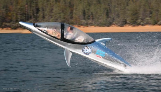 Dolphin Power Boat