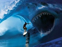 Top 5 Alternatives to Being a Scam Lottery Provider