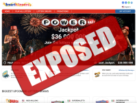 Smart-Winners Review