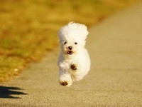 4 Benefits of Getting Outside Your Home for Buying the Lottery Tickets