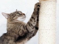 7 Biggest Scratch-Off Prizes In History