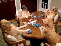 When Playing Lottery Turns into Gambling