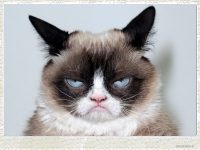 The Funny Side of the Lottery