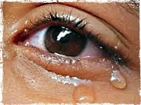 The Tragic Stories of Former UK Lottery Winners