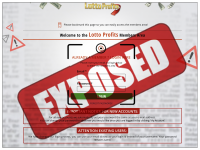Lotto Profits Exposed
