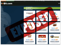1xBit Exposed 1xBit Exposed